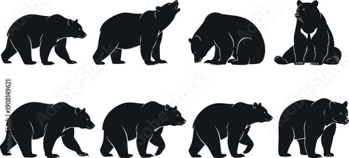 Black bear silhouette set displaying realistic walking standing sitting roaring poses, wildlife animal illustration collection isolated on white background for logo branding design use