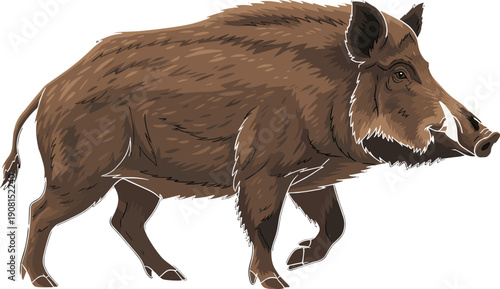 Detailed wild boar illustration isolated on white background, realistic forest animal artwork, hand drawn style mammal graphic, nature wildlife design for educational and commercial use