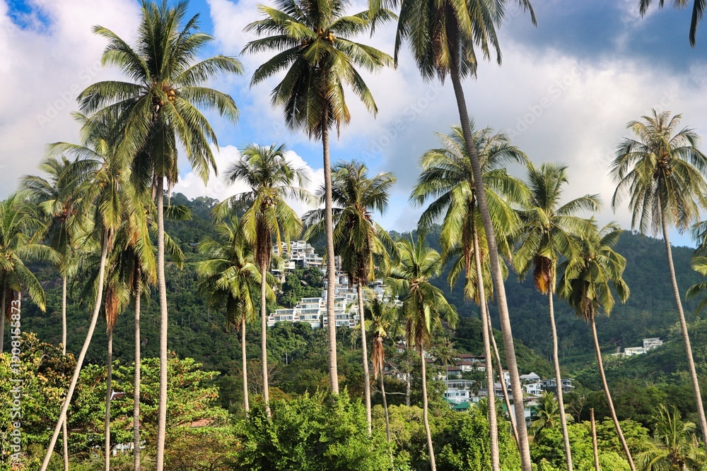 Fototapeta premium Ko Samui, Thailand