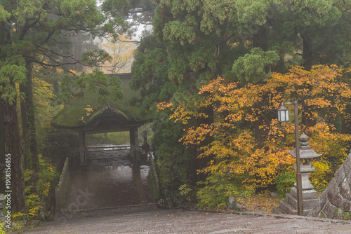 Obraz na płótnie 日本 鳥取県西伯郡大山町にある大神山神社、奥宮の紅葉に囲まれた神門