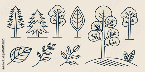 A collection of various trees, plants, and leaves in a simple line art style