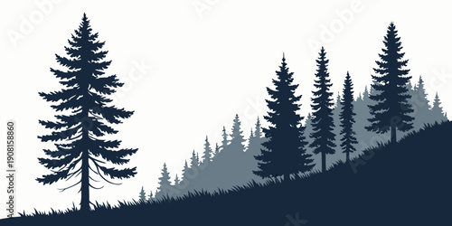Silhouette of tall pine trees against a cloudy sky on a mountain side.