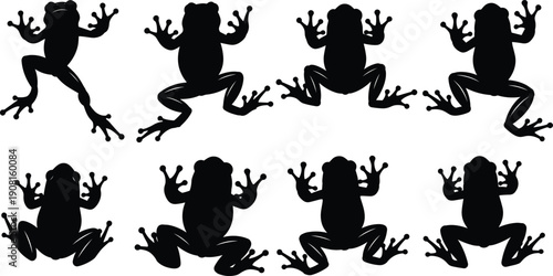 Frog silhouette collection showing multiple jumping and sitting poses, black amphibian vector illustration set isolated on white background for wildlife, nature, and design use