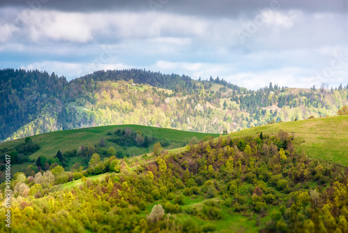 rural area in mountain landscape. deciduous forest on a steep green hill. carpathians during spring. alpine countryside scenery in dappled light. remote highland for escape and recreation