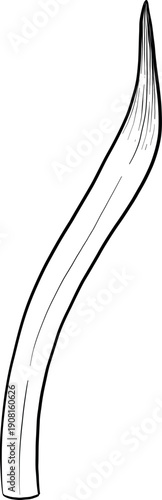 Easter flower festive traditional decor element set. Ink style vector illustration. Engraved outline eggs, knots, spring garden flowers and basket. Monochrome graphics in a hand-drawn line style