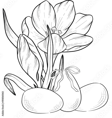 Easter flower festive traditional decor element set. Ink style vector illustration. Engraved outline eggs, knots, spring garden flowers and basket. Monochrome graphics in a hand-drawn line style