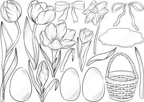 Easter flower festive traditional decor element set. Ink style vector illustration. Engraved outline eggs, knots, spring garden flowers and basket. Monochrome graphics in a hand-drawn line style