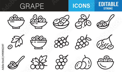 Healthy fruit grape outline icon collection vector pack
