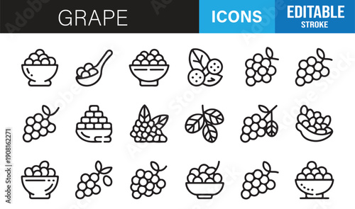 Organic grape fruit line icons editable stroke set