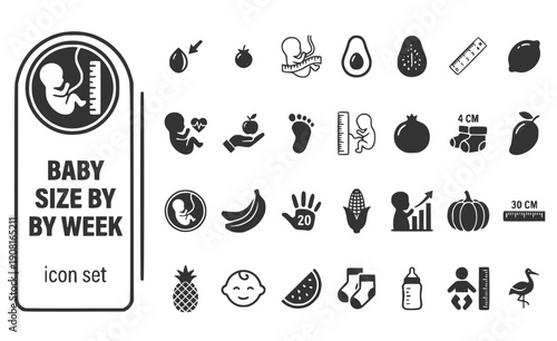 Baby Size By Week Weekly-Growth Fruit-Comparison Baby-Measurement Fetal-Size Weekly-Development Growth-Week Vector Icon Set - Baby Growth