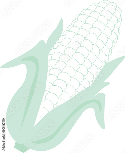 Minimal corn cob vector illustration in pastel green color
