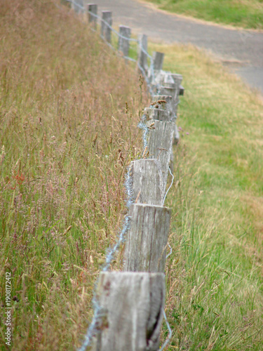 Fotografia A weathered wooden fence runs beside a grassy path, dividing wild overgrowth from a neatly maintained field