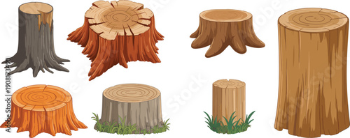 Tree stump illustration set showing cut wood trunks with roots rings and bark natural forest elements isolated on white background