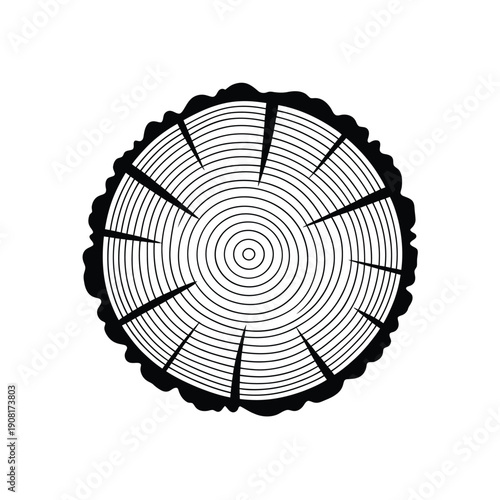 A black and white illustration depicting a cross section of a tree trunk