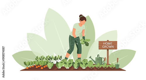 Woman Gardening Fresh Vegetables in Homegrown Garden