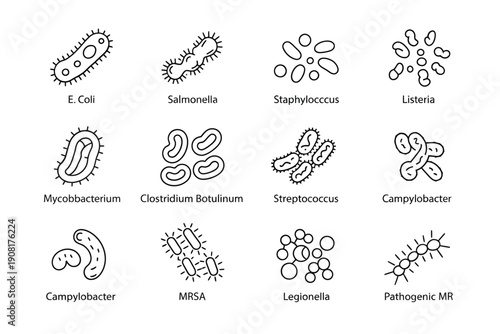 Line art illustration depicting various types of pathogenic bacteria