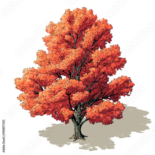 Sugar Maple Tree, rendered in a minimalist 2D flat vector icon style against a pure white backdrop