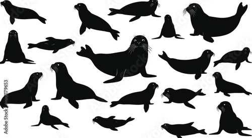 Sea lion silhouette set featuring multiple poses and movements, black wildlife vector illustration collection isolated on white background for marine, nature, and design concepts