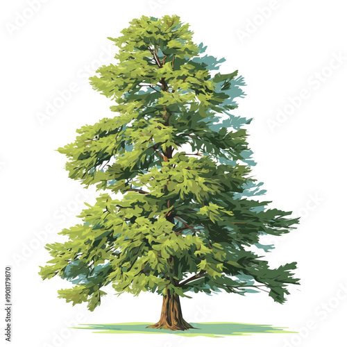 Cypress Pine Tree, rendered in a minimalist 2D flat vector icon style against a pure white backdrop