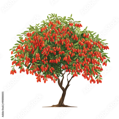 Flat-design 2D vector artwork of a Goji Berry Tree, styled as an icon and isolated against white background