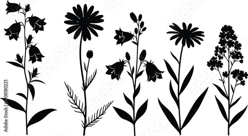 "Silhouettes of diverse flowering plants with unique shapes and structures, including bell flowers, daisies, and clustered blooms, isolated on white background for botanical design"