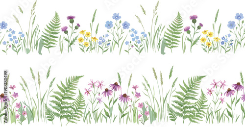 Watercolor wildflower meadow border with grasses, ferns, and blooming flowers, delicate botanical nature illustration isolated on white background, decorative floral vector design