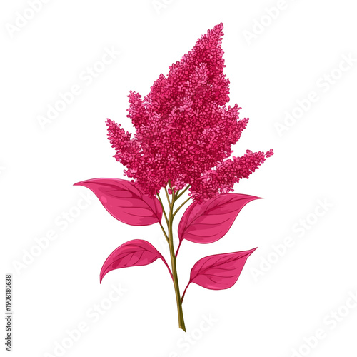 Minimalist 2D vector icon representation of a Amaranth Flower, displayed on a pure white background