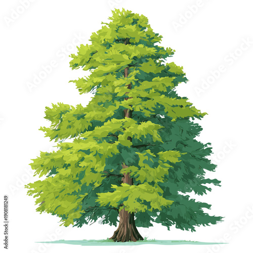 Bald Cypress Tree, illustrated as a clean 2D flat vector icon isolated on a white background