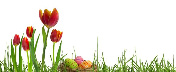abstract easter grass meadow with easter basket and red tulip flowers isolated on transparent background, floral decoration texture template overlay for holiday greetings