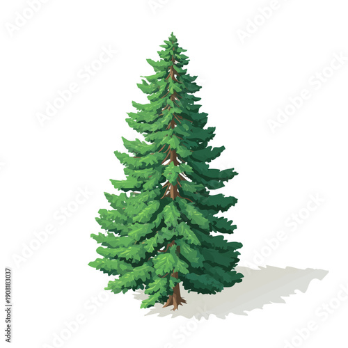 Minimalist 2D vector icon representation of a Douglas Fir Tree, displayed on a pure white background