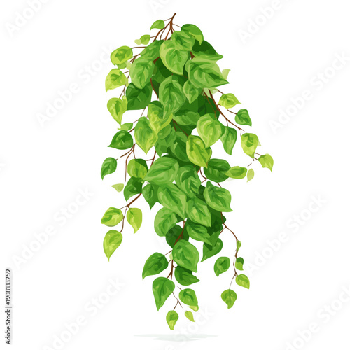 Flat-design 2D vector artwork of a Arrowhead Vine, styled as an icon and isolated against white background