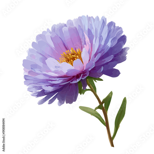Aster Flower, illustrated as a clean 2D flat vector icon isolated on a white background