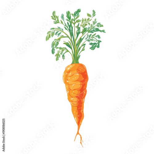 Minimalist 2D vector icon representation of a Carrot Root, displayed on a pure white background