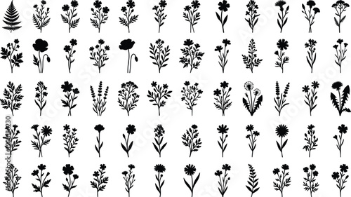 Wildflower and botanical plant silhouette icon set with various floral species, black nature illustration collection isolated on white background, elegant vector design elements