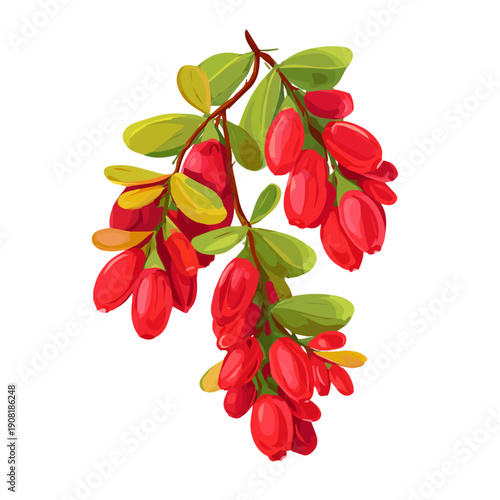 Minimalist 2D vector icon representation of a Barberry, displayed on a pure white background