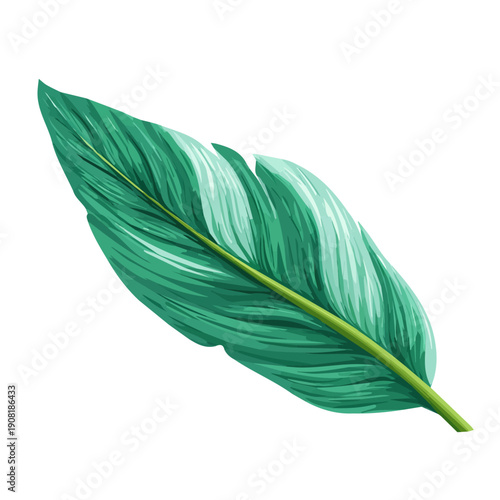 Plantain Leaf, rendered in a minimalist 2D flat vector icon style against a pure white backdrop