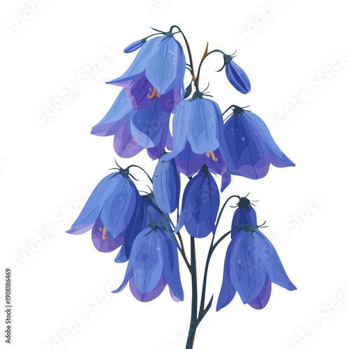 2D flat vector graphic of a Bluebell in icon style, isolated on white background
