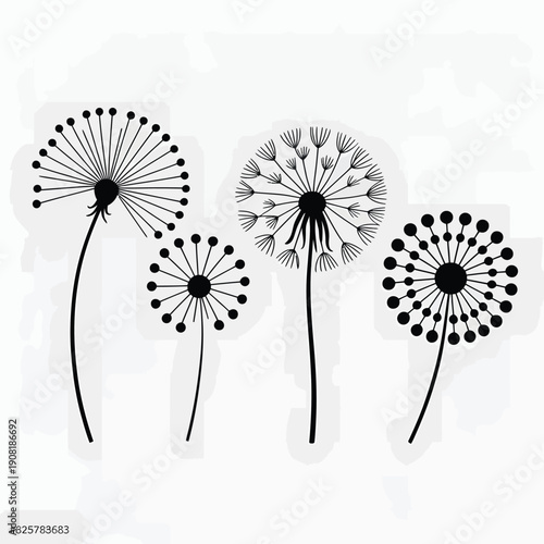 Minimalist illustration of four dandelion seed heads on a white background