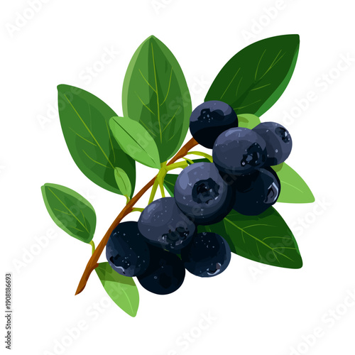 Minimal 2D flat vector of a Bilberry, icon-style illustration on a white background