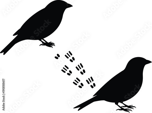 Humorous black silhouettes of two birds facing opposite directions with playful interaction, creative illustration concept, artistic representation of nature behavior in minimal style.