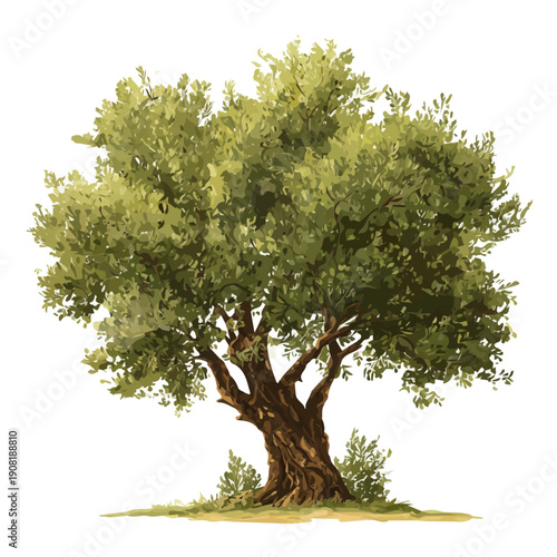 Olive Tree, rendered in a minimalist 2D flat vector icon style against a pure white backdrop