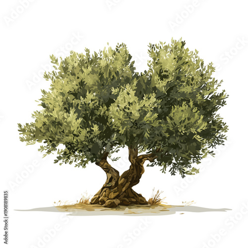 Flat-design 2D vector artwork of a Olive Tree, styled as an icon and isolated against white background