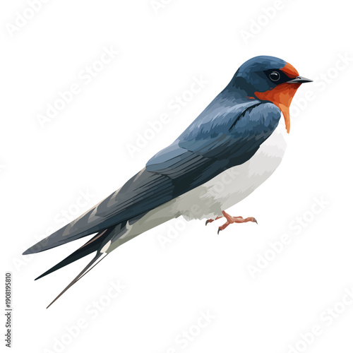 Swallow, illustrated as a clean 2D flat vector icon isolated on a white background