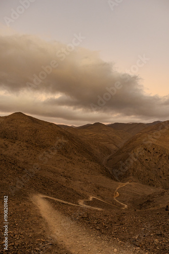 road in desert