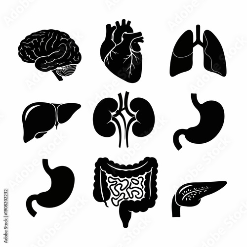 Set of black silhouette vector icons representing major human internal organs: brain, heart, lungs, liver, kidneys, stomach, pancreas, and intestines.