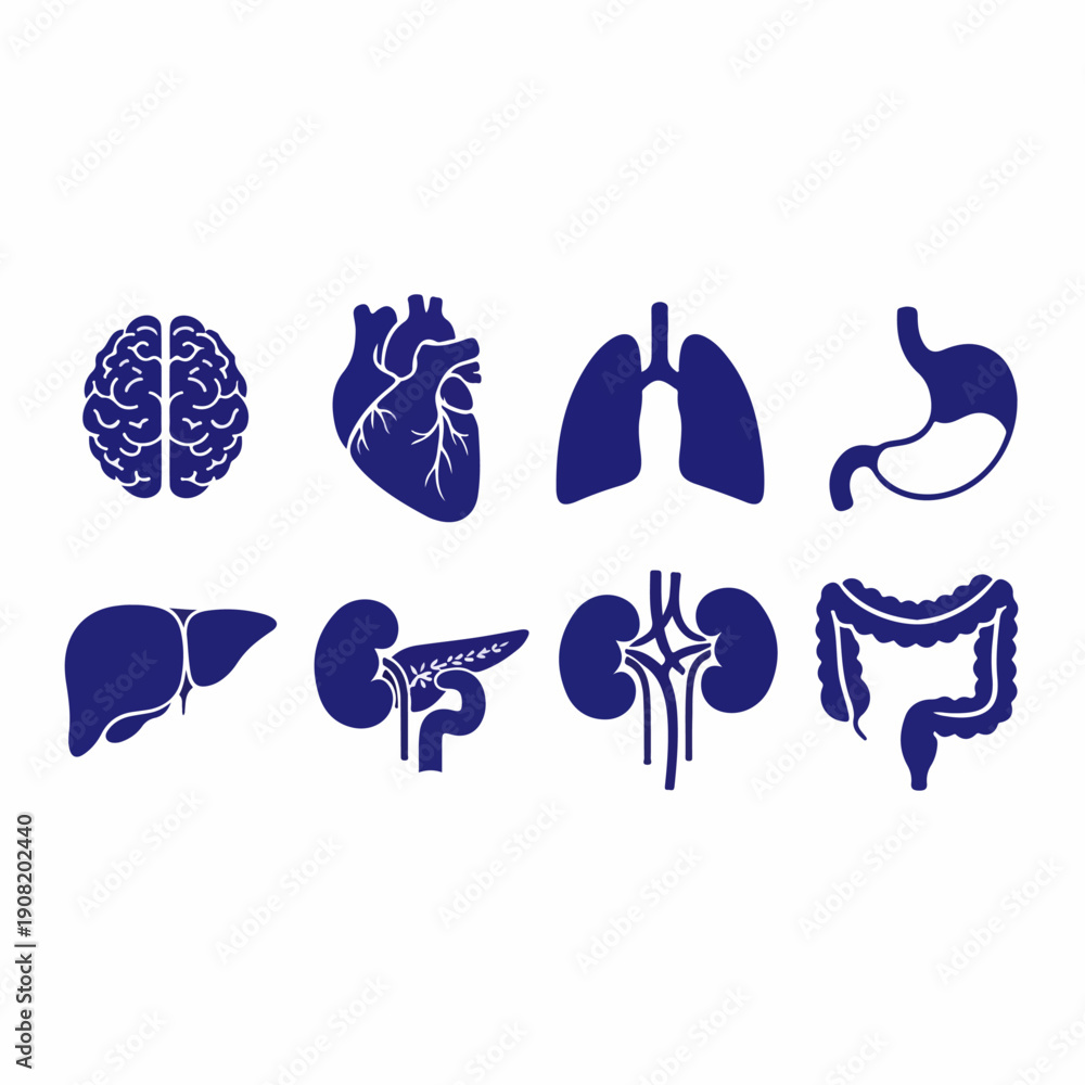 Fototapeta premium Collection of eight essential human internal organ blue icons: brain, heart, lungs, liver, stomach, pancreas, kidneys, and large intestine.