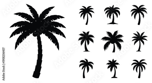 Collection of black silhouette palm trees in varying shapes and sizes