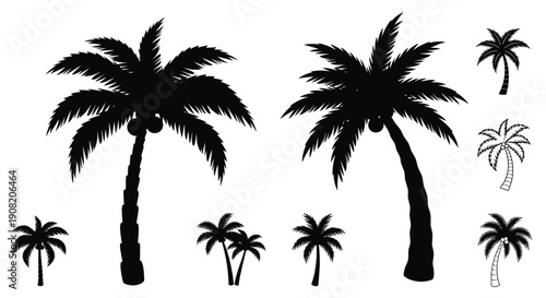 Black silhouette illustrations of various tropical palm trees and plants
