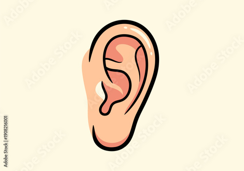 Human Ear Anatomy Vector Illustration - A Detailed Representation of the Auditory Organ