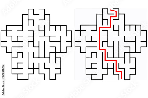 Flower-Shaped Maze with Solution
